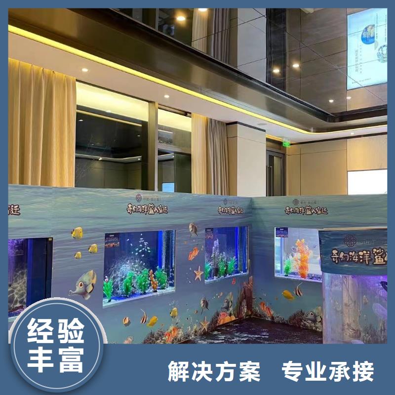 海洋主题动物表演羊驼出租品质好