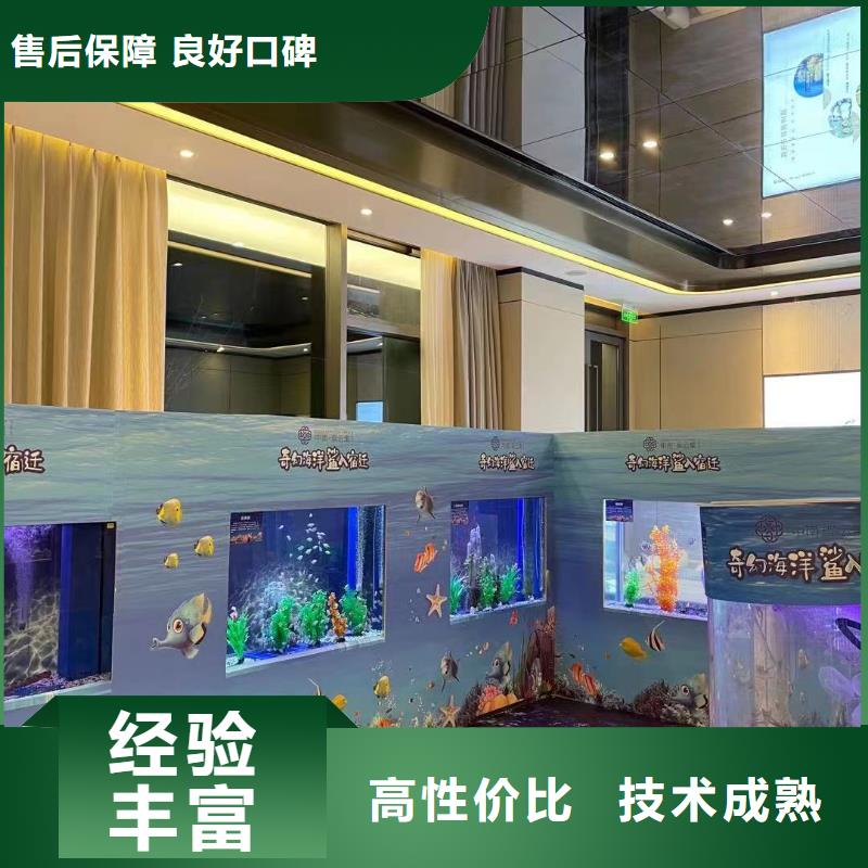 【海洋主题动物表演_马戏团出租 】