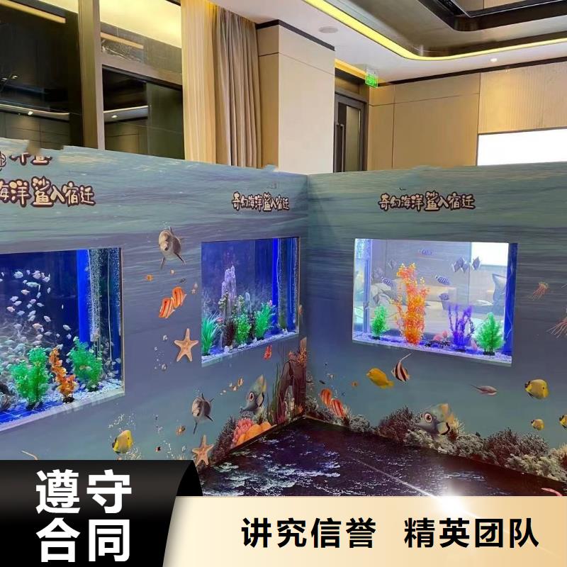 海洋主题动物表演美人鱼表演质量保证