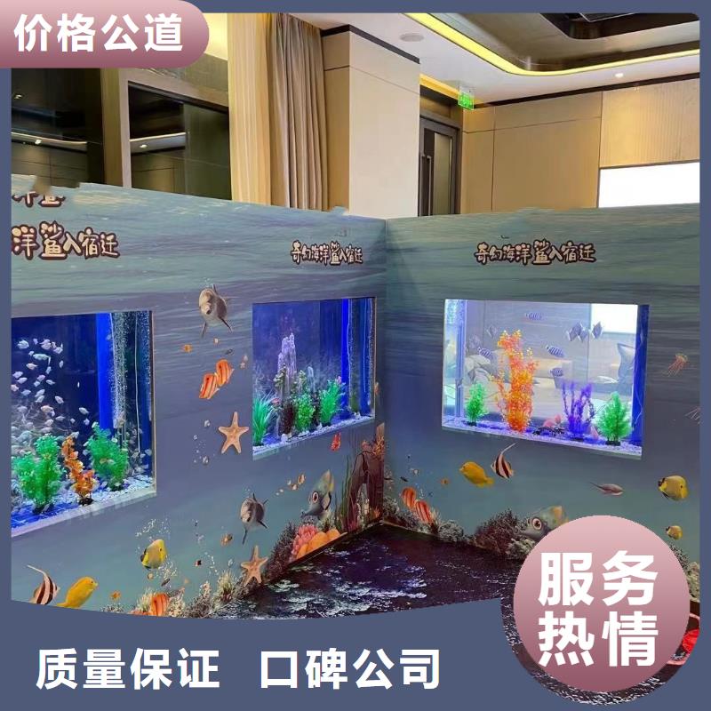 海洋主题动物表演,美人鱼表演放心