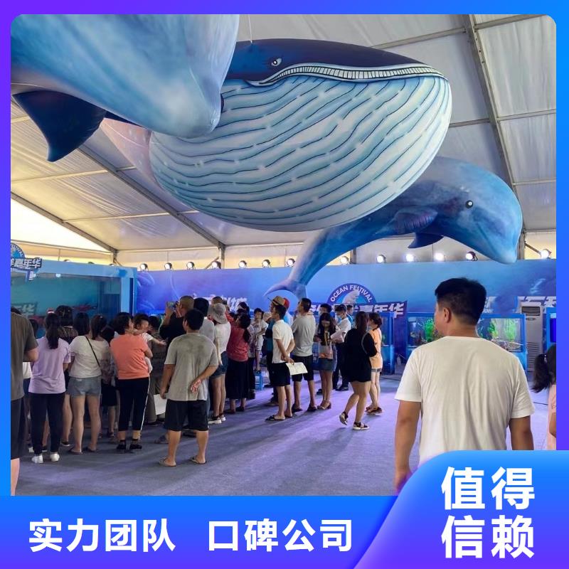 【海洋主题动物表演】 羊驼表演专业服务