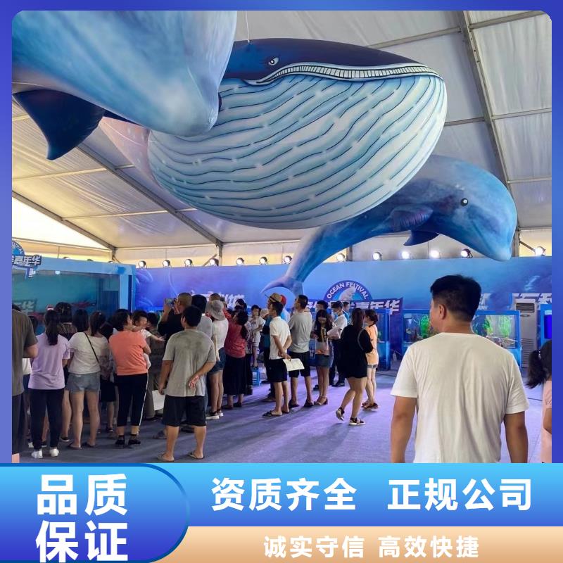 海洋主题动物表演_海豚表演讲究信誉