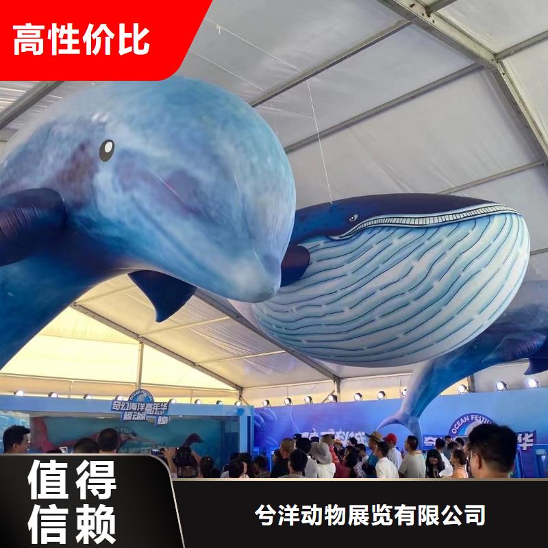 【海洋主题动物表演_马戏团出租 】