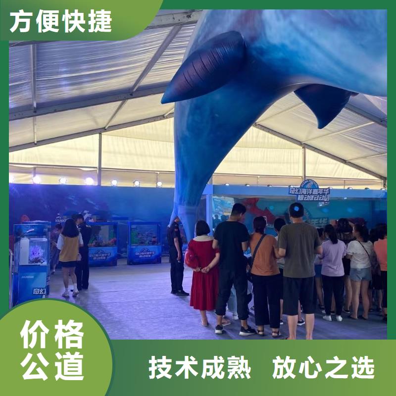 海洋主题动物表演,马戏团出租 从业经验丰富