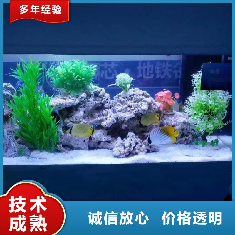 海洋主题动物表演马戏团表演全市24小时服务