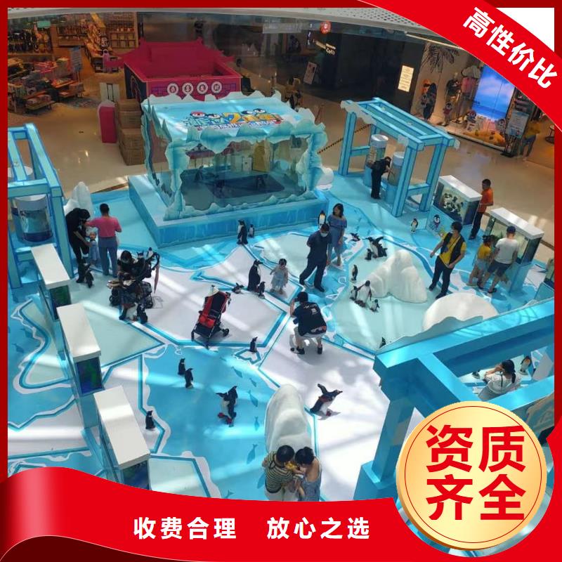 海洋主题动物表演出租马戏表演快速