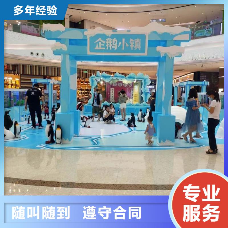 海洋主题动物表演美人鱼表演质量保证