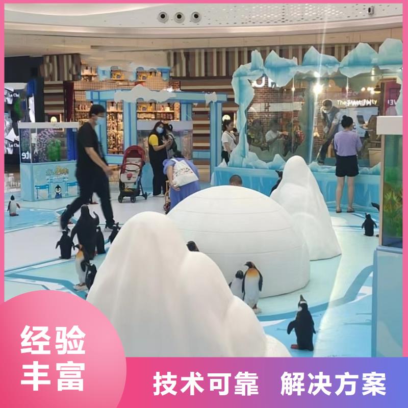 海洋主题动物表演羊驼表演随叫随到
