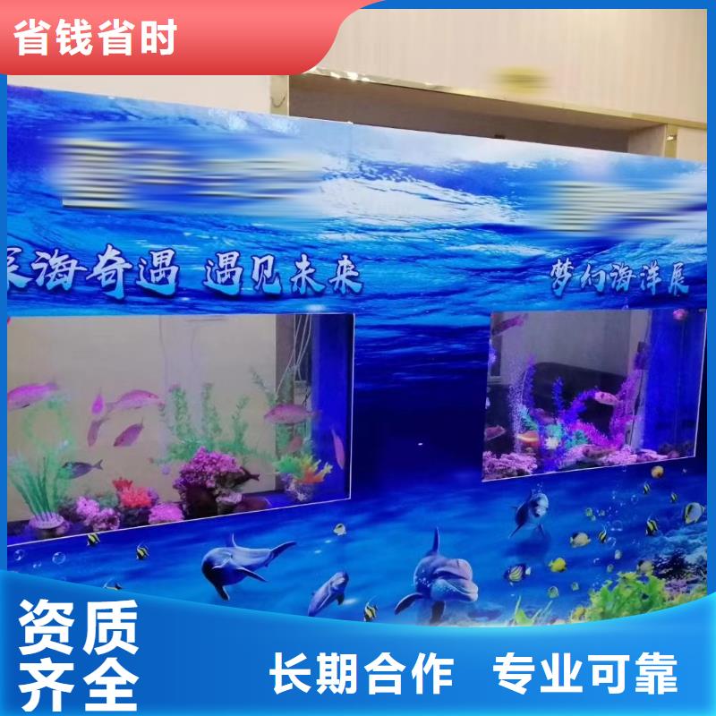 海洋主题动物表演吉祥百鸟展售后保障