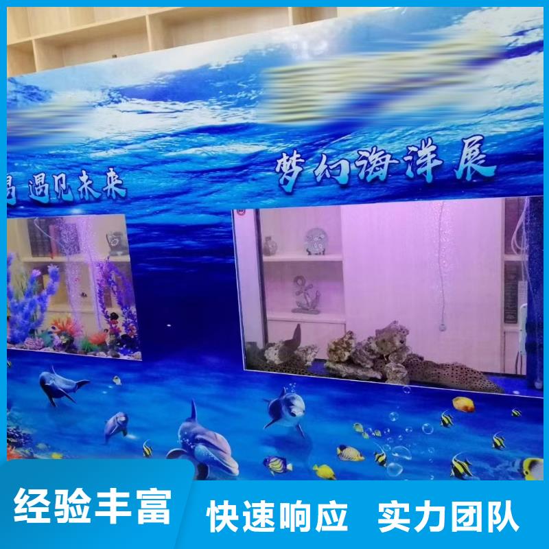 【海洋主题动物表演】 【海狮表演租赁】长期合作
