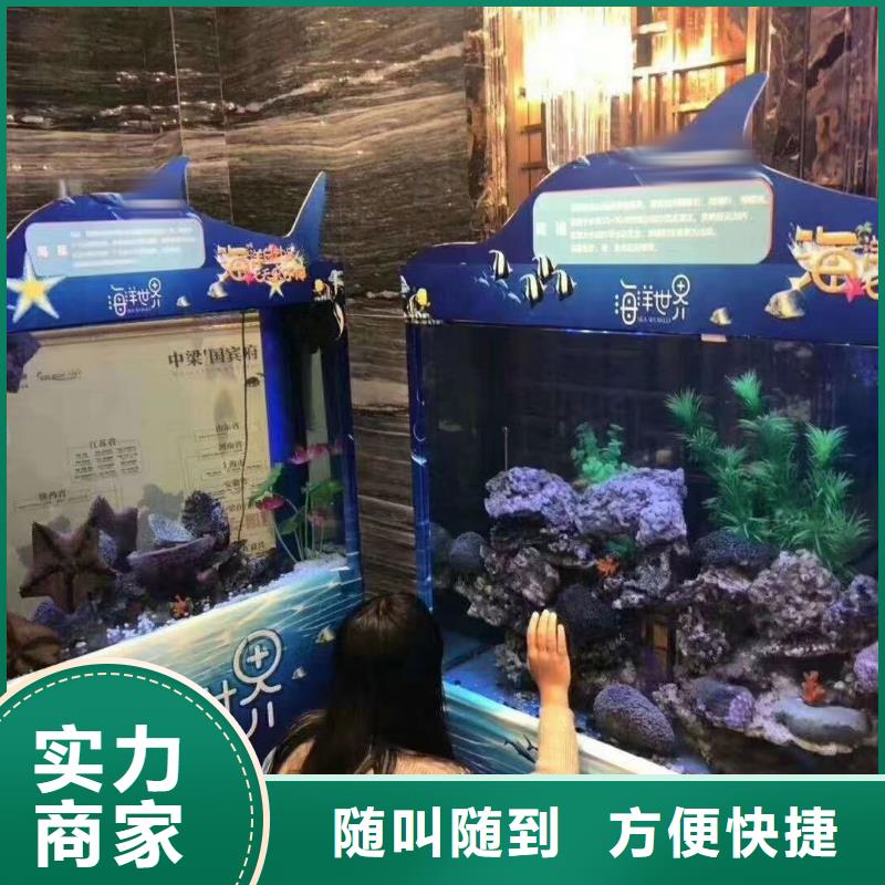 海洋主题动物表演_【美人鱼出租演出】2025公司