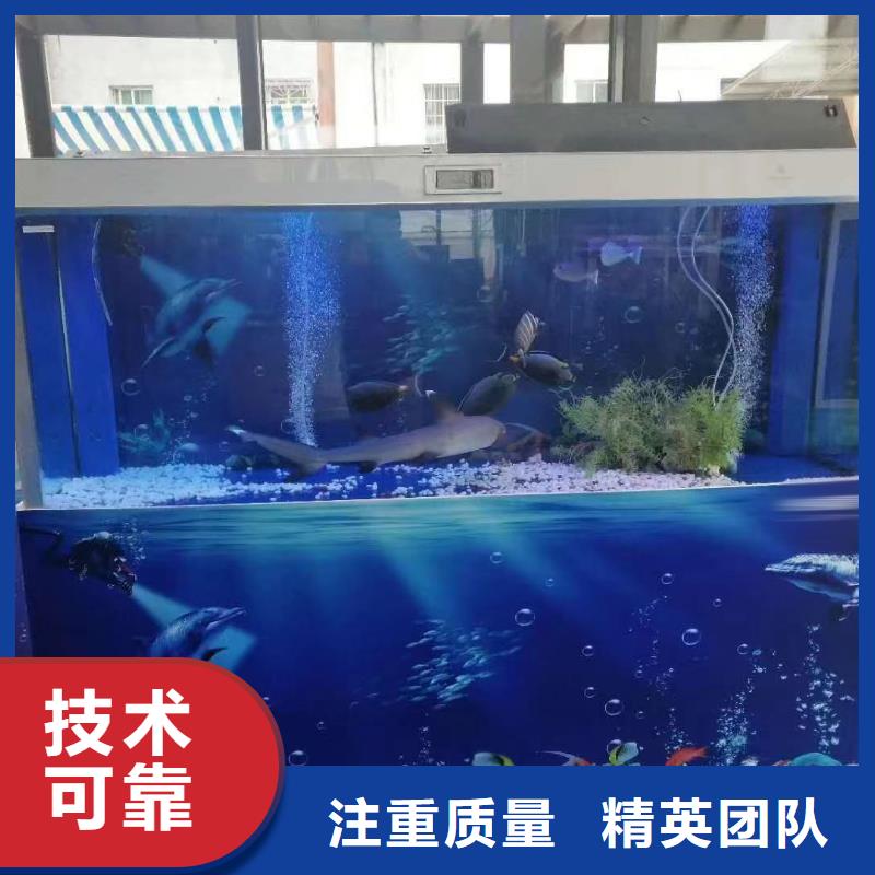 海洋主题动物表演【企鹅演出】全市24小时服务