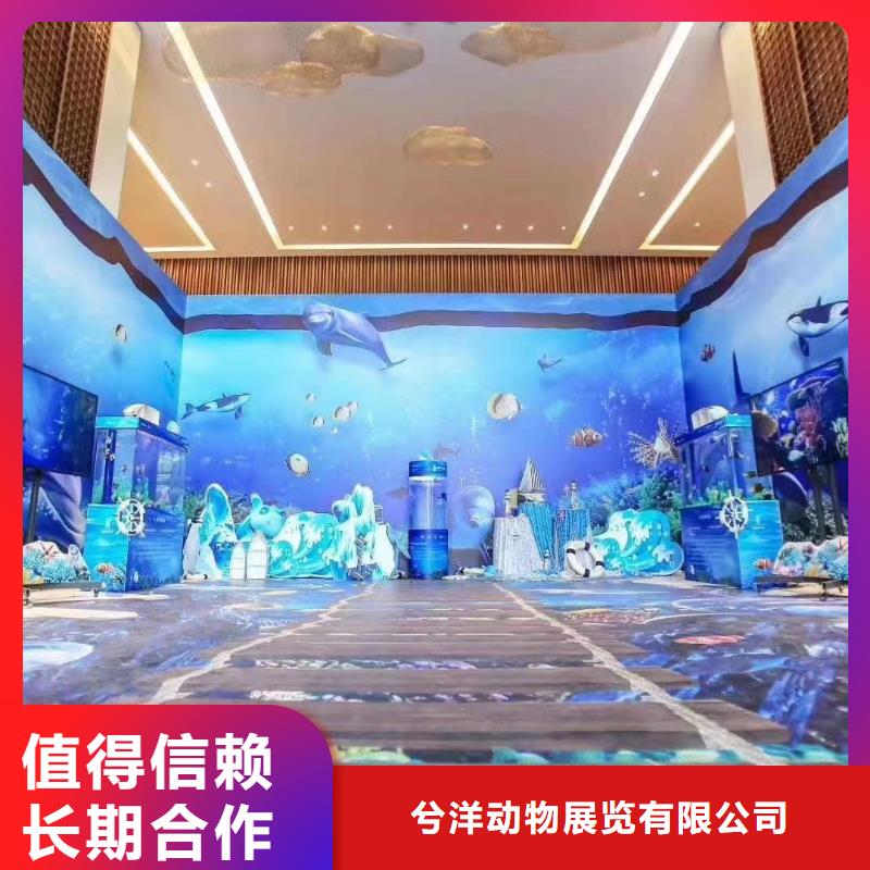 吉祥百鸟展视频-吉祥百鸟展|河南省开封市|杞县|龙亭|驻马店|南阳|信阳|商丘|濮阳|安阳