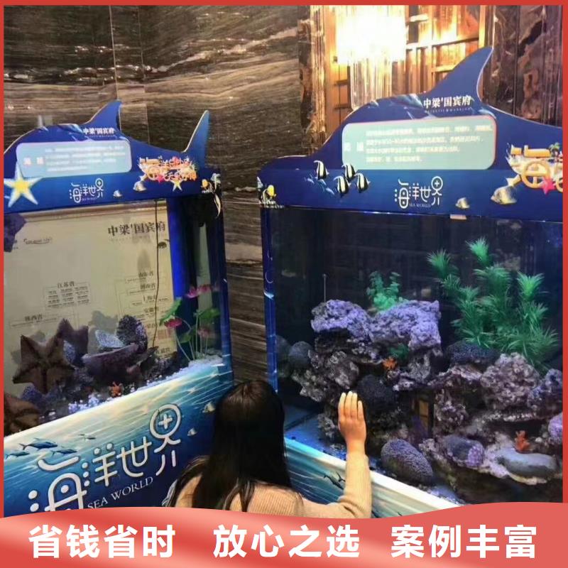 海洋主题动物表演_羊驼表演正规团队