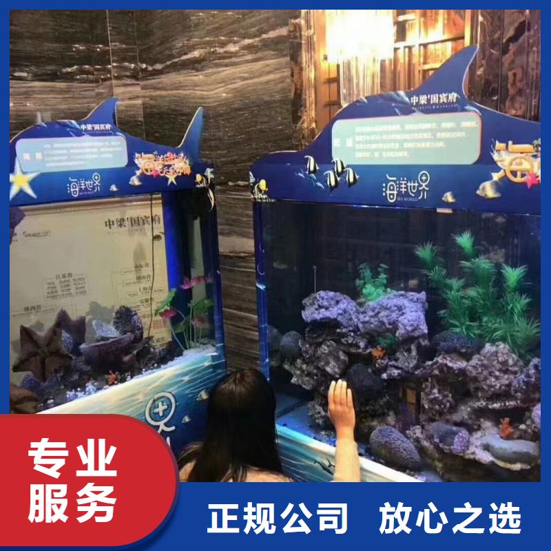 海洋主题动物表演【海狮表演】正规