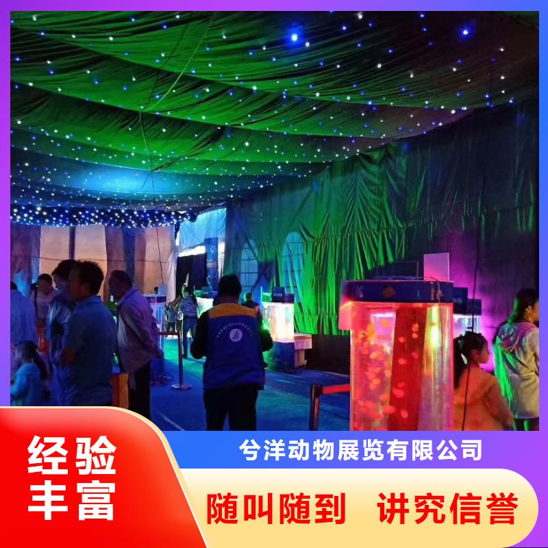 【海洋主题动物表演】萌宠动物展出租价格美丽