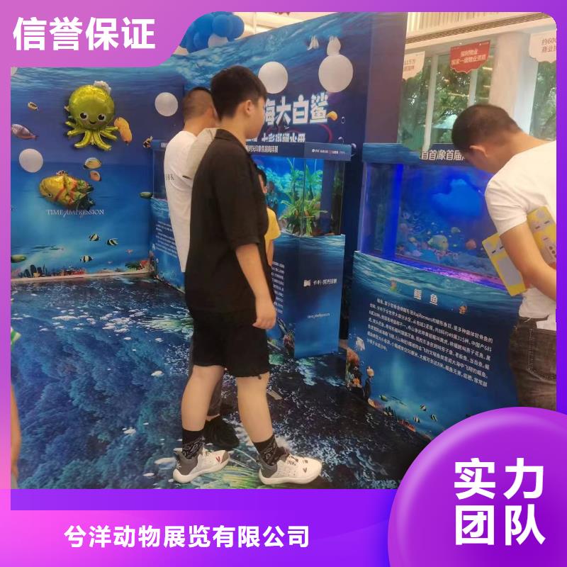 海洋主题动物表演鹦鹉表演租赁正规
