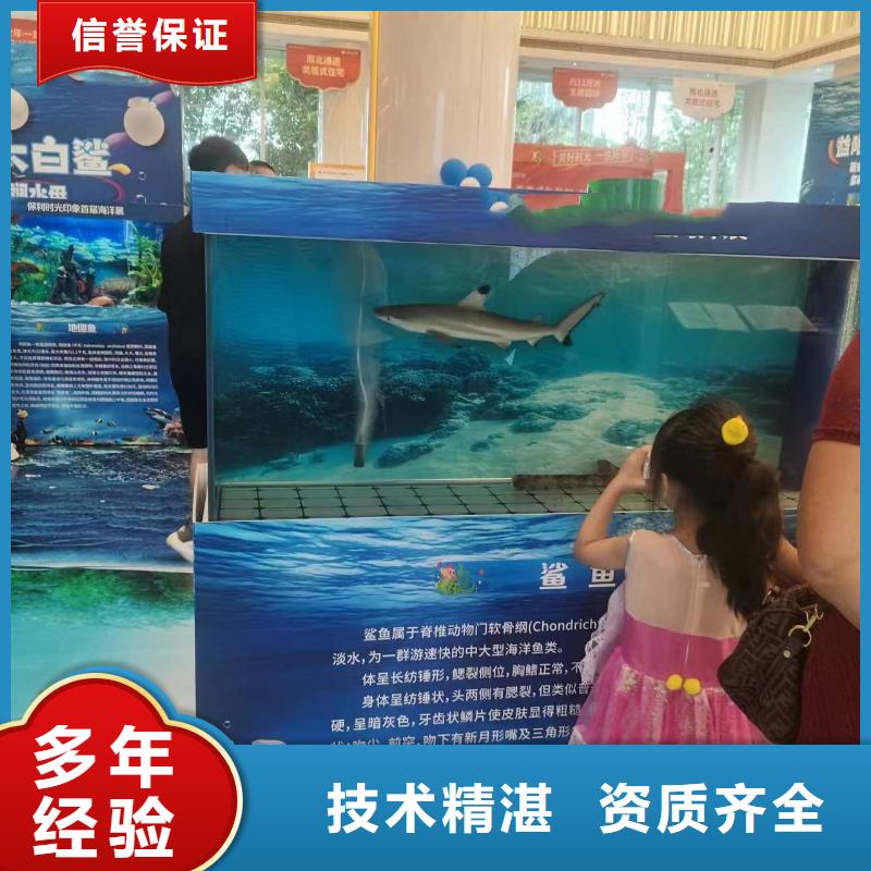 海洋主题动物表演,马戏团出租 从业经验丰富