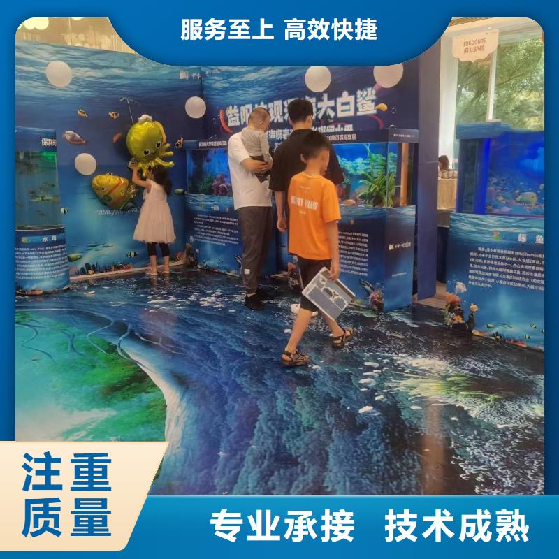 海洋主题动物表演出租海狮表演专业
