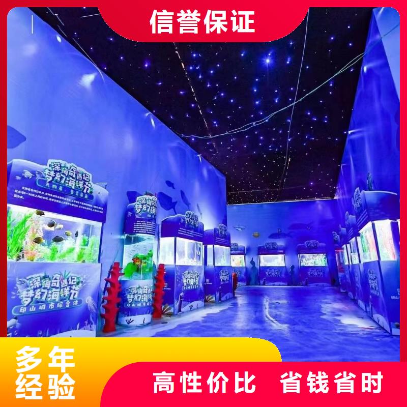 海洋主题动物表演羊驼出租品质好