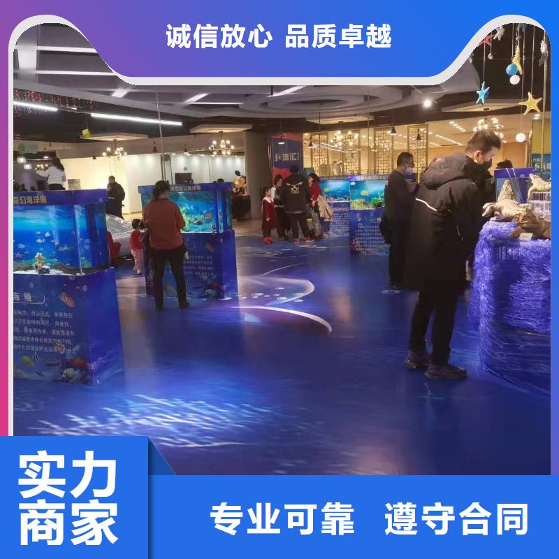 海洋主题动物表演出租马戏团表演从业经验丰富