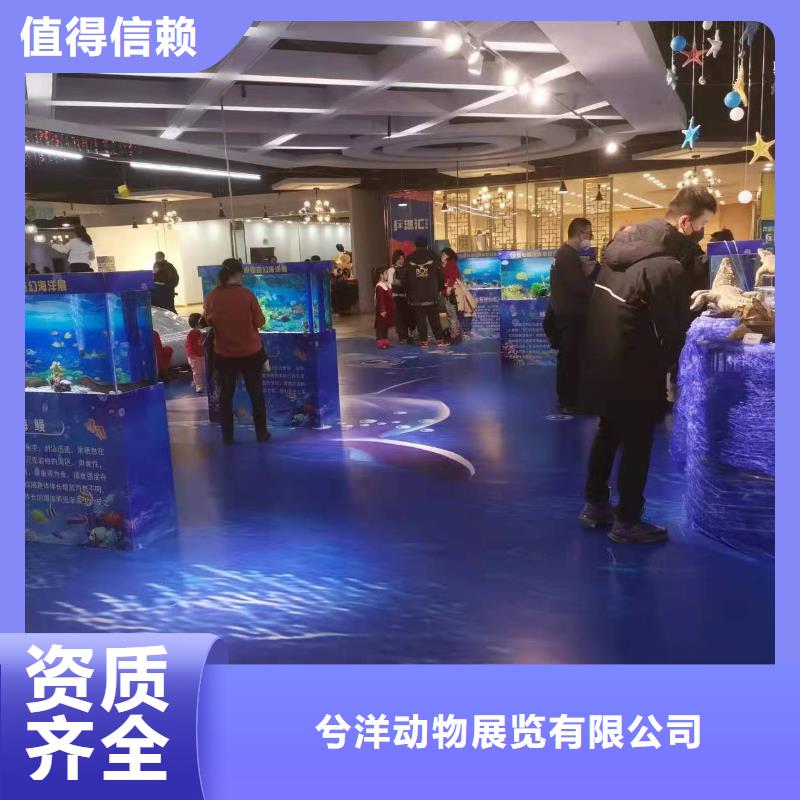 海洋主题动物表演出租动物表演诚信