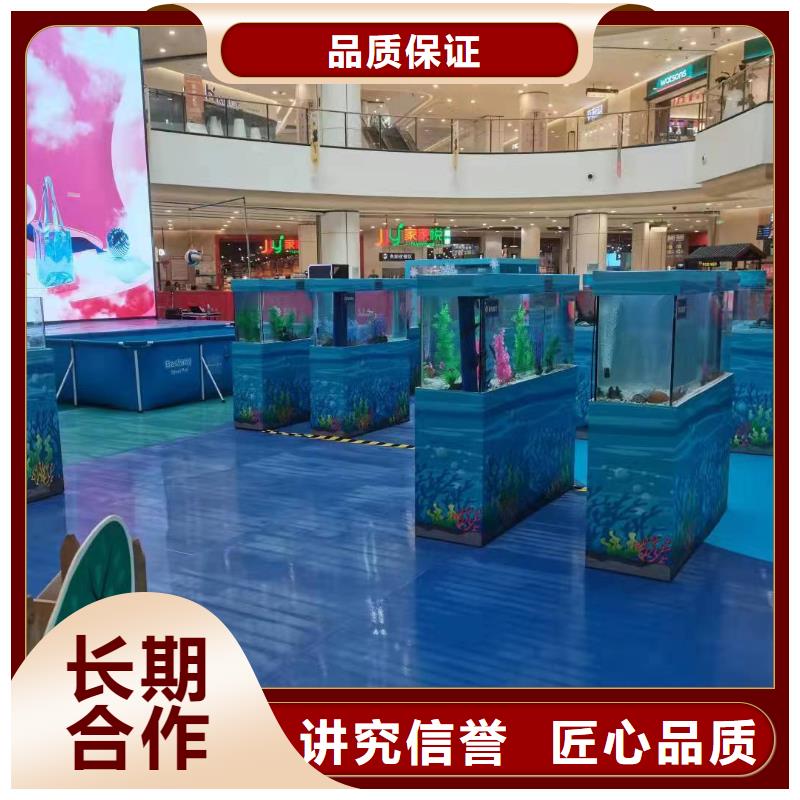海洋主题动物表演【企鹅表演出租】从业经验丰富