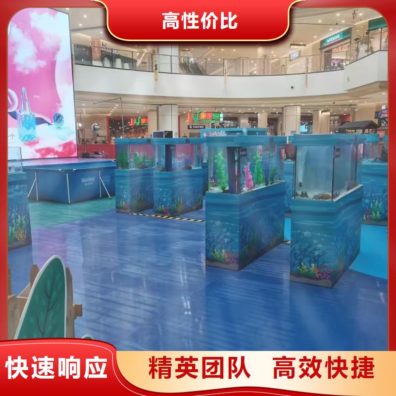 海洋主题动物表演海豚表演多家服务案例