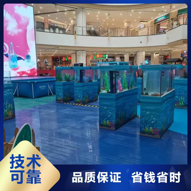 海洋主题动物表演马戏表演知名公司