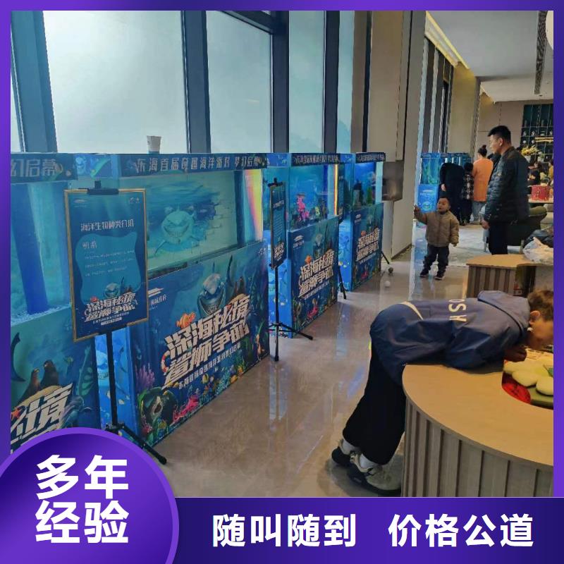海洋主题动物表演-【海狮表演租赁】比同行便宜