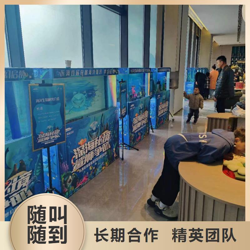 海洋主题动物表演_【海狮表演】欢迎合作
