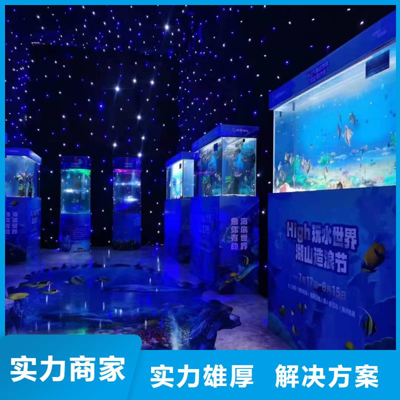 海洋主题动物表演_商场马戏表演出租良好口碑