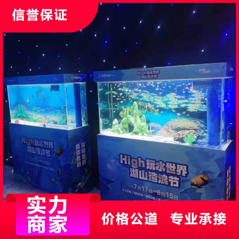 海洋主题动物表演出租马戏表演专业公司