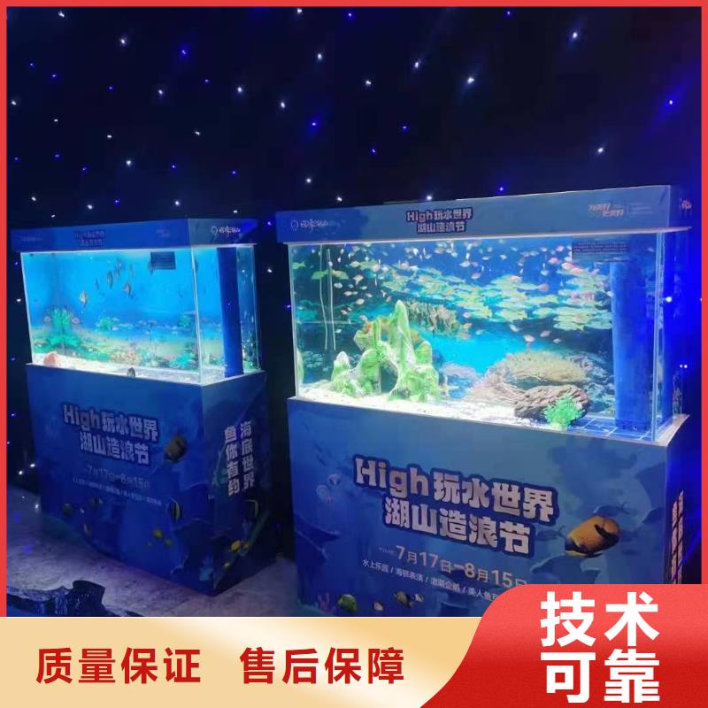 【海洋主题动物表演】 表演动物出租诚信经营