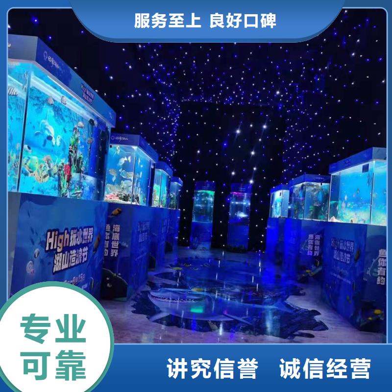 海洋主题动物表演_【海狮表演】欢迎合作