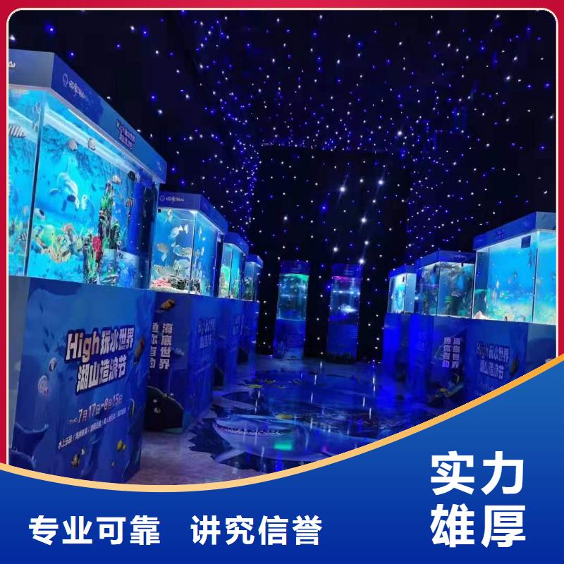 海洋主题动物表演马戏团表演快速