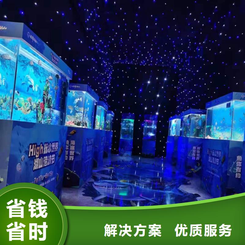 海洋主题动物表演【海狮表演】专业