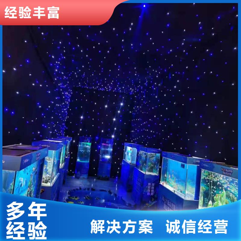 海洋主题动物表演,马戏团出租 从业经验丰富