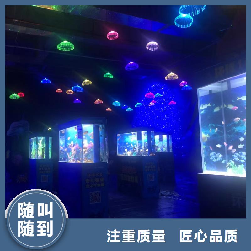 海洋主题动物表演【马戏团表演出租租赁】实力强有保证