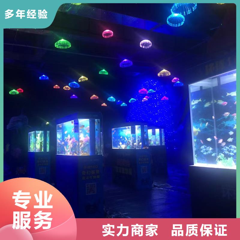 海洋主题动物表演出租马戏表演知名公司