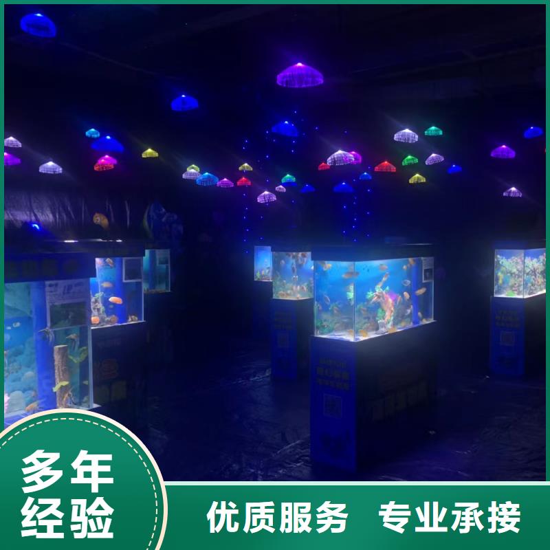 海洋主题动物表演,【企鹅表演】公司