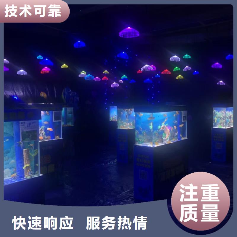海洋主题动物表演,杂技表演租赁服务品质服务