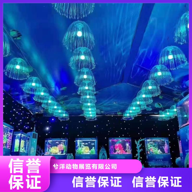 吉祥百鸟展视频-吉祥百鸟展_甘肃省张掖市市场覆盖甘州|临泽|平凉|定西|陇南|甘南|临夏|金昌等