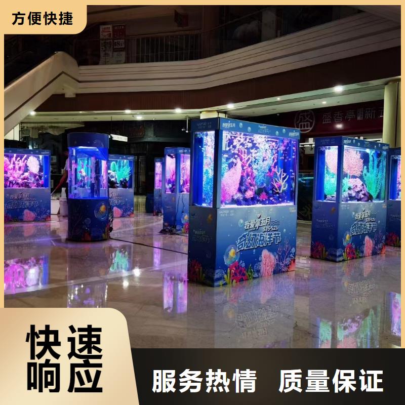 海洋主题动物表演羊驼表演随叫随到