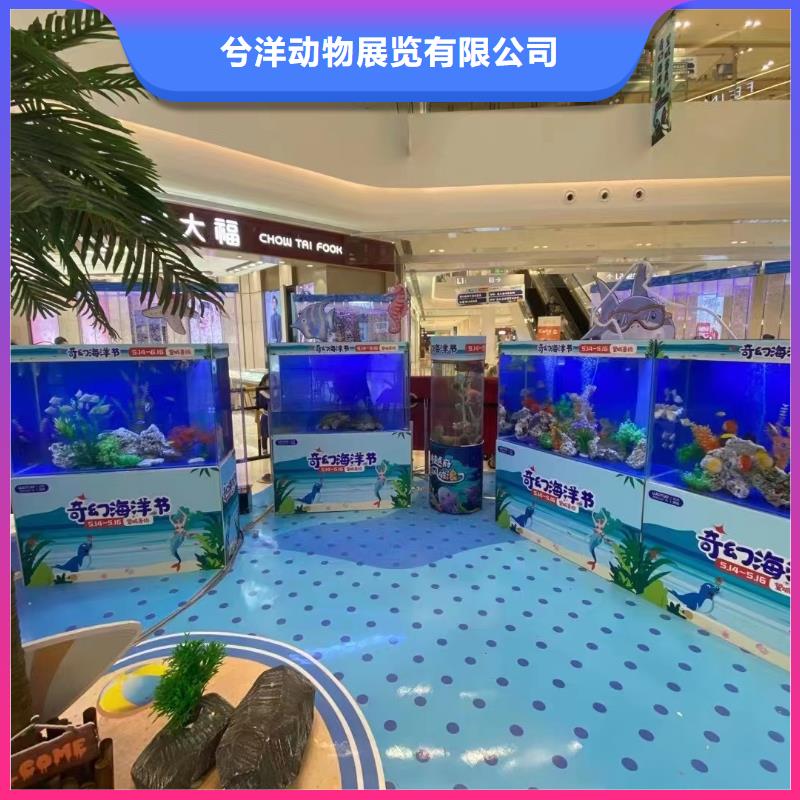 海洋主题动物表演出租动物表演诚信