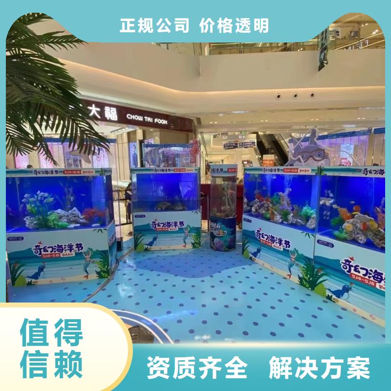 海洋主题动物表演萌宠动物展出租价格美丽