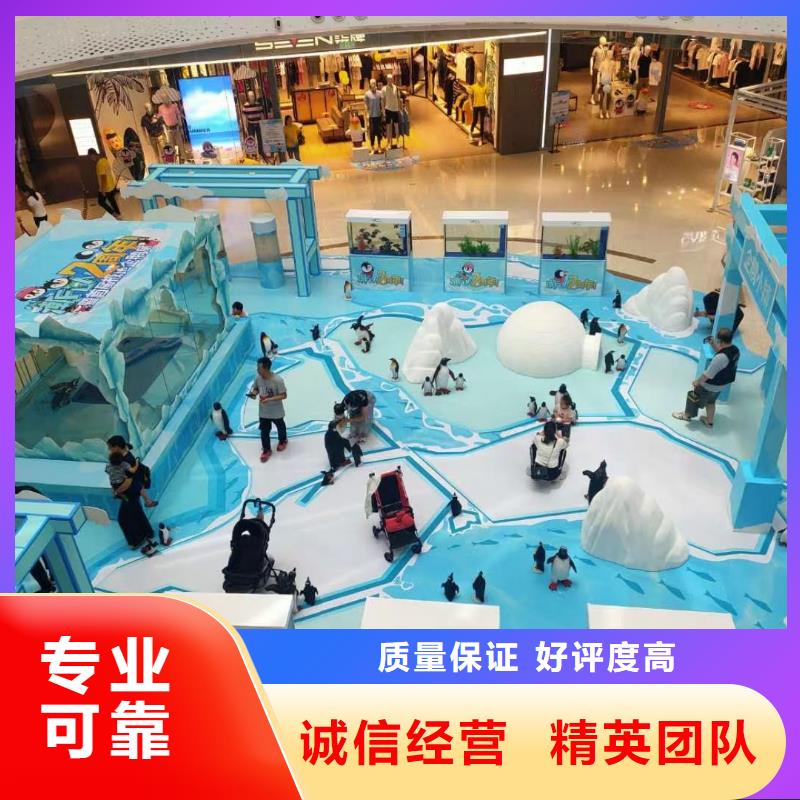 海洋主题动物表演【企鹅演出】全市24小时服务