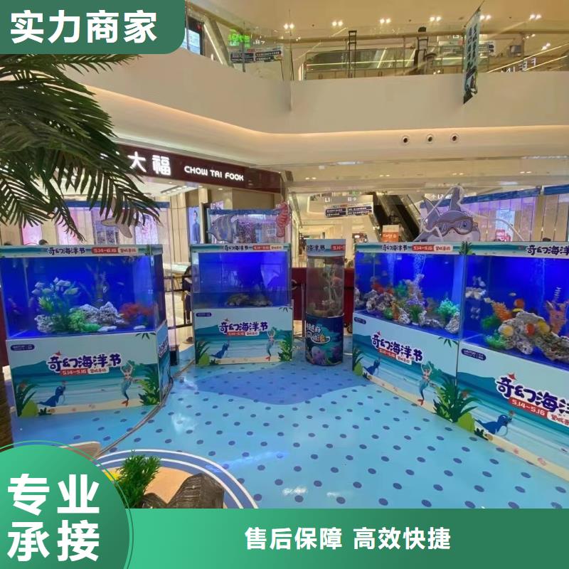 海洋主题动物表演-动物杂技表演租赁随叫随到
