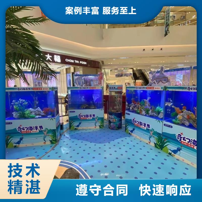 海洋主题动物表演_羊驼表演正规团队