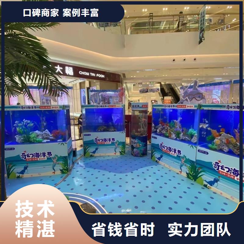 海洋主题动物表演 【出租海狮表演】品质优